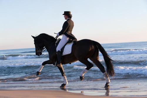Pension Los Caballos Els Poblets Ngoại thất bức ảnh