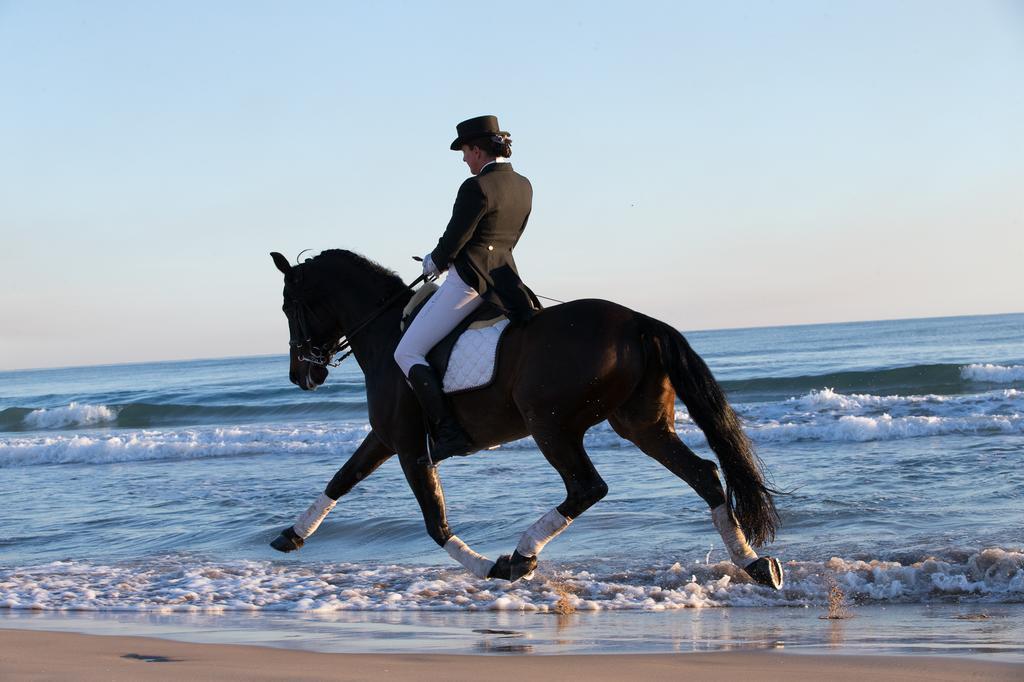 Pension Los Caballos Els Poblets Ngoại thất bức ảnh